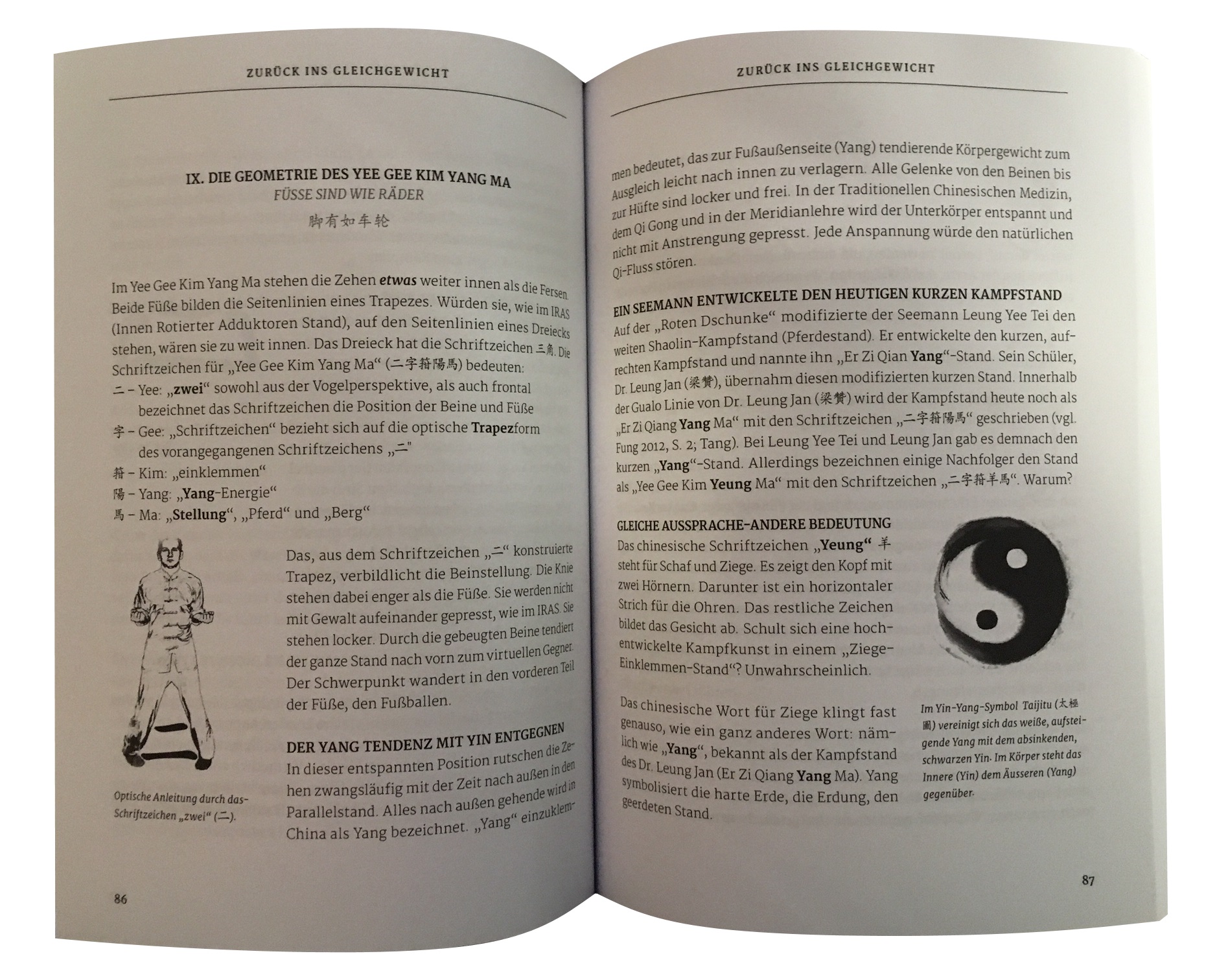 Siu Nim Tau: Geschichte - Ausführung - Biomechanik