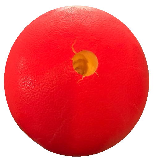 Sound Karate Training Ball rot (%SALE)