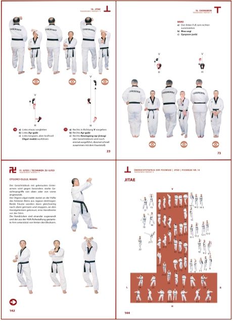 TAEKWONDO PERFEKT 4 (Chul-Hwan Kim u. Konstantin Gil)