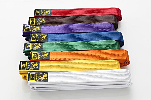 DAX Farbgürtel / Budogürtel / Gürtel