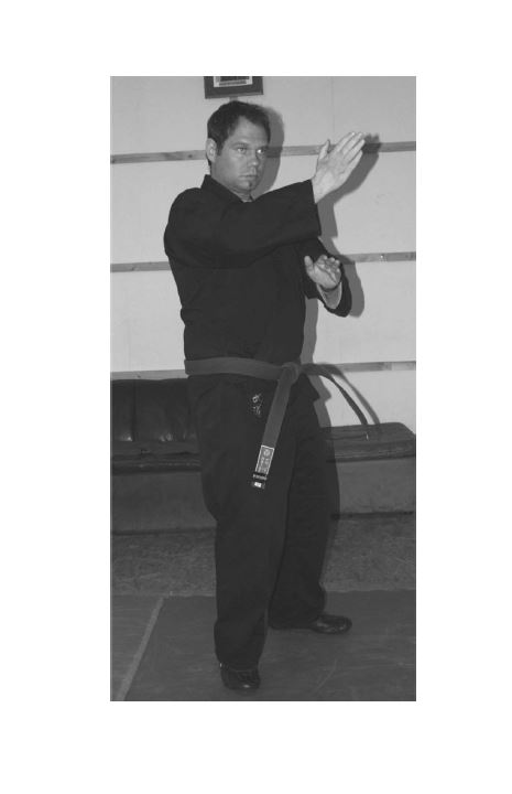 System zum Selbstschutz - Entstehung und Techniken des N.K. Kempo