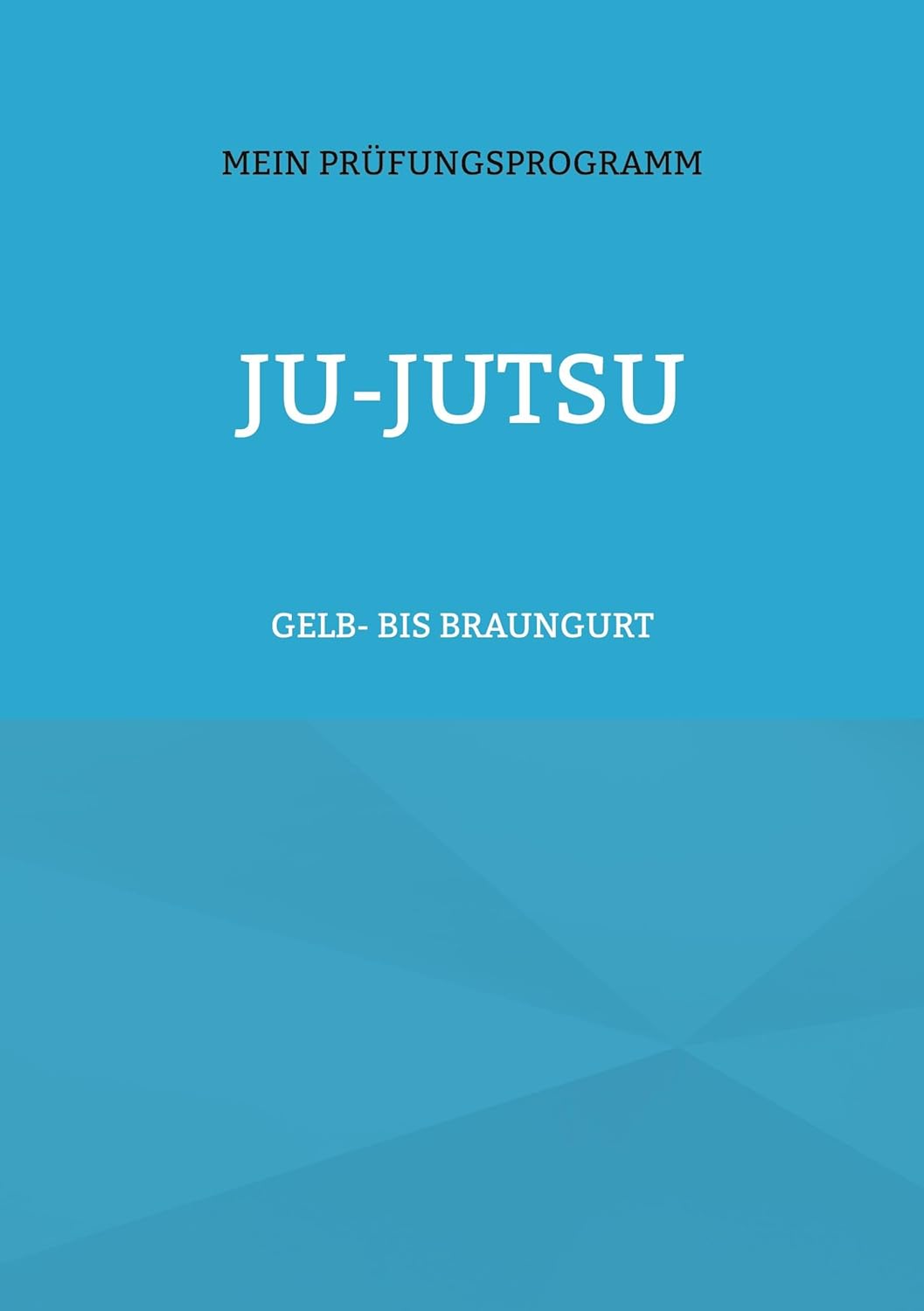 JU-JUTSU: Mein Prüfungsprogramm Gelb- bis Braungurt (Römstedt, Volker)