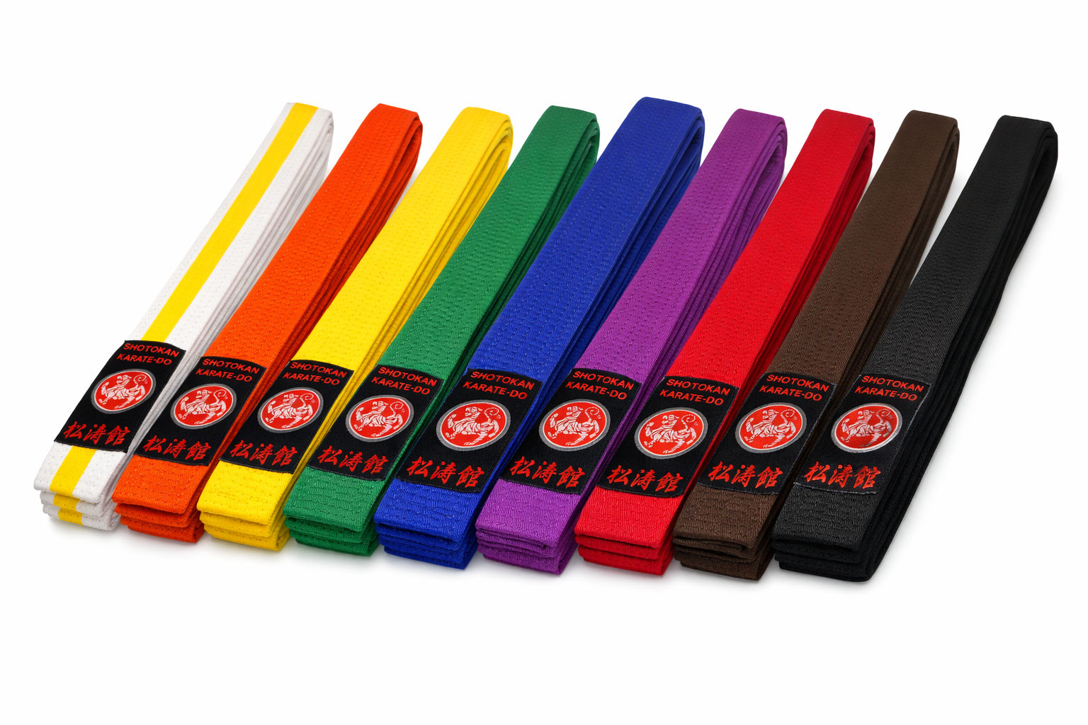 Shotokan Karate Gürtel Silver Edition 2-farbig