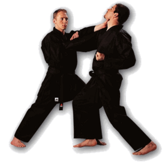 Adidas Karateanzug Bushido schwarz 150