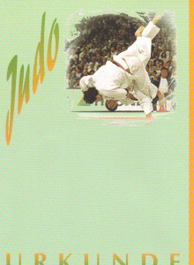 Wettkampf-Urkunde Judo grün-orange