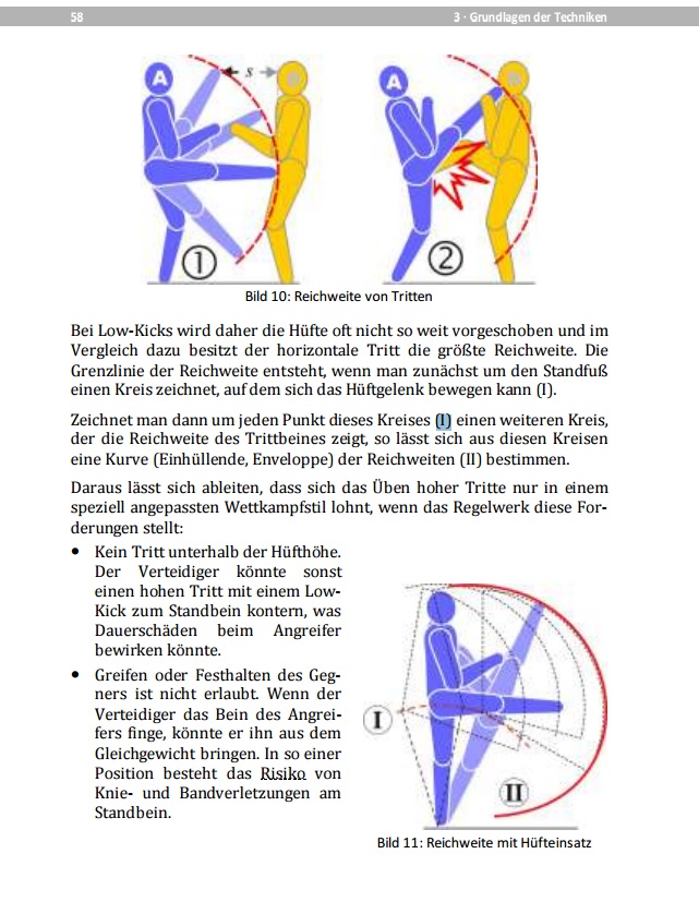 Ars Martialis - Was Kampfsportler und Trainer über Kampf, Mechanik und Struktur besser wissen müssen
