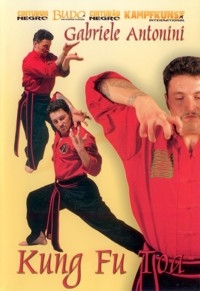 Antonini: Kung Fu Toa - Forms & applications Vol.1 (DVD)